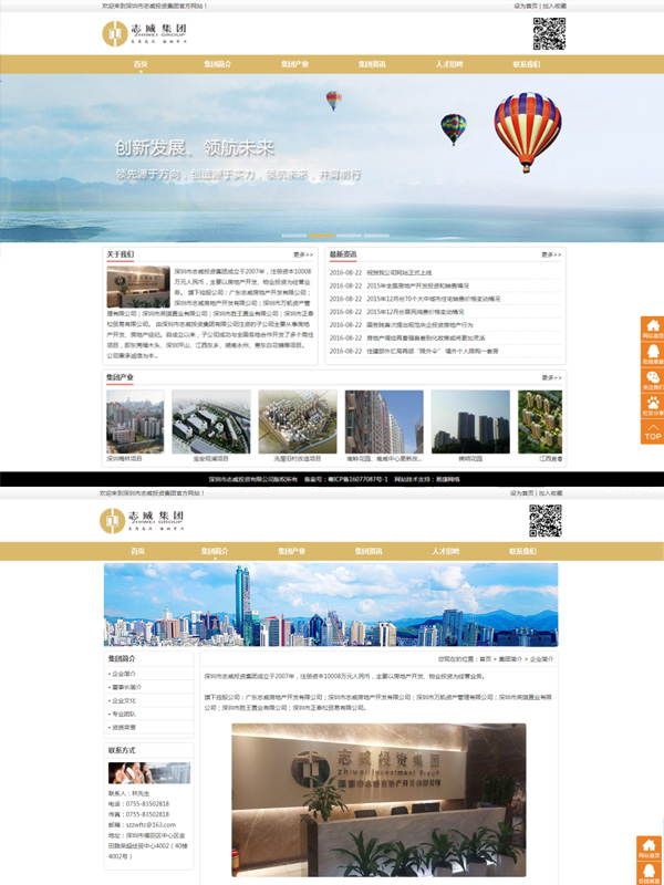 深圳市志威投资集团网站建设案例