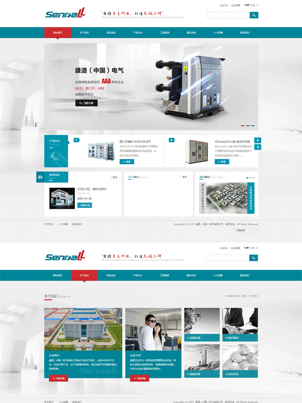 盛道（中国）电气网站建设案例